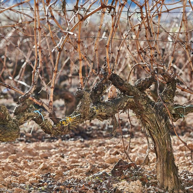 Bodega Valtoñar rosé