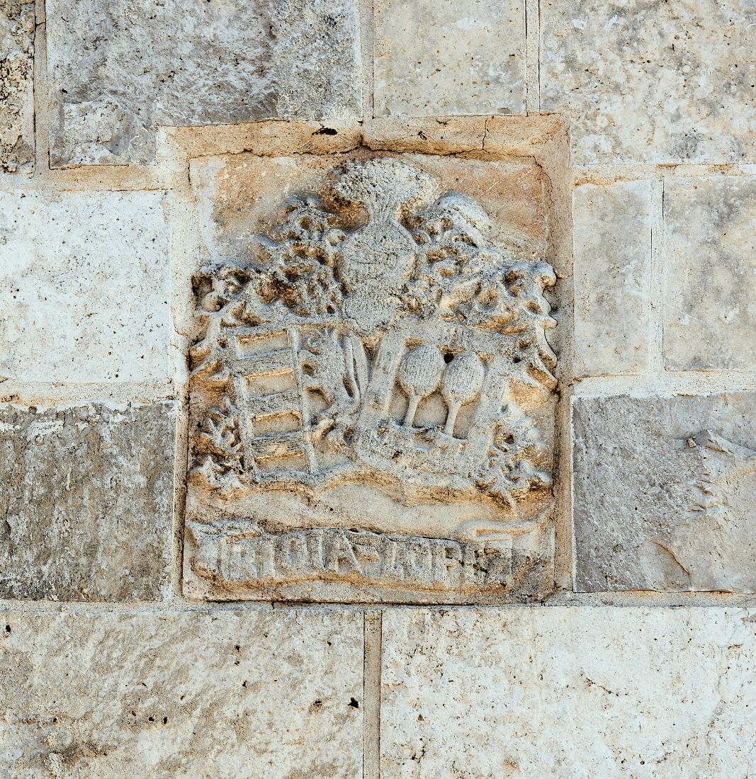 Bodega Valtoñar crop
