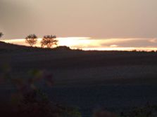 Bodega Valtoñar atardecer