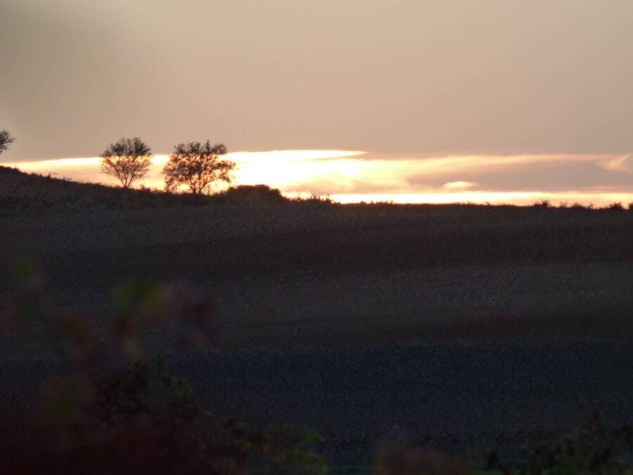 Bodega Valtoñar atardecer