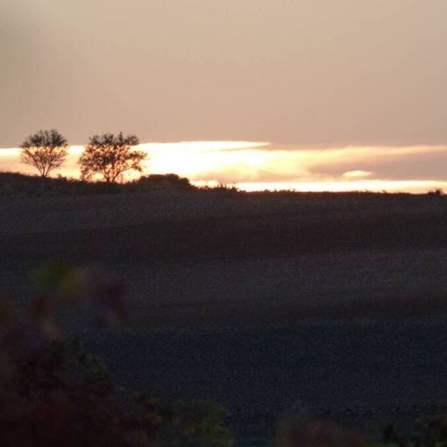 Bodega Valtoñar atardecer